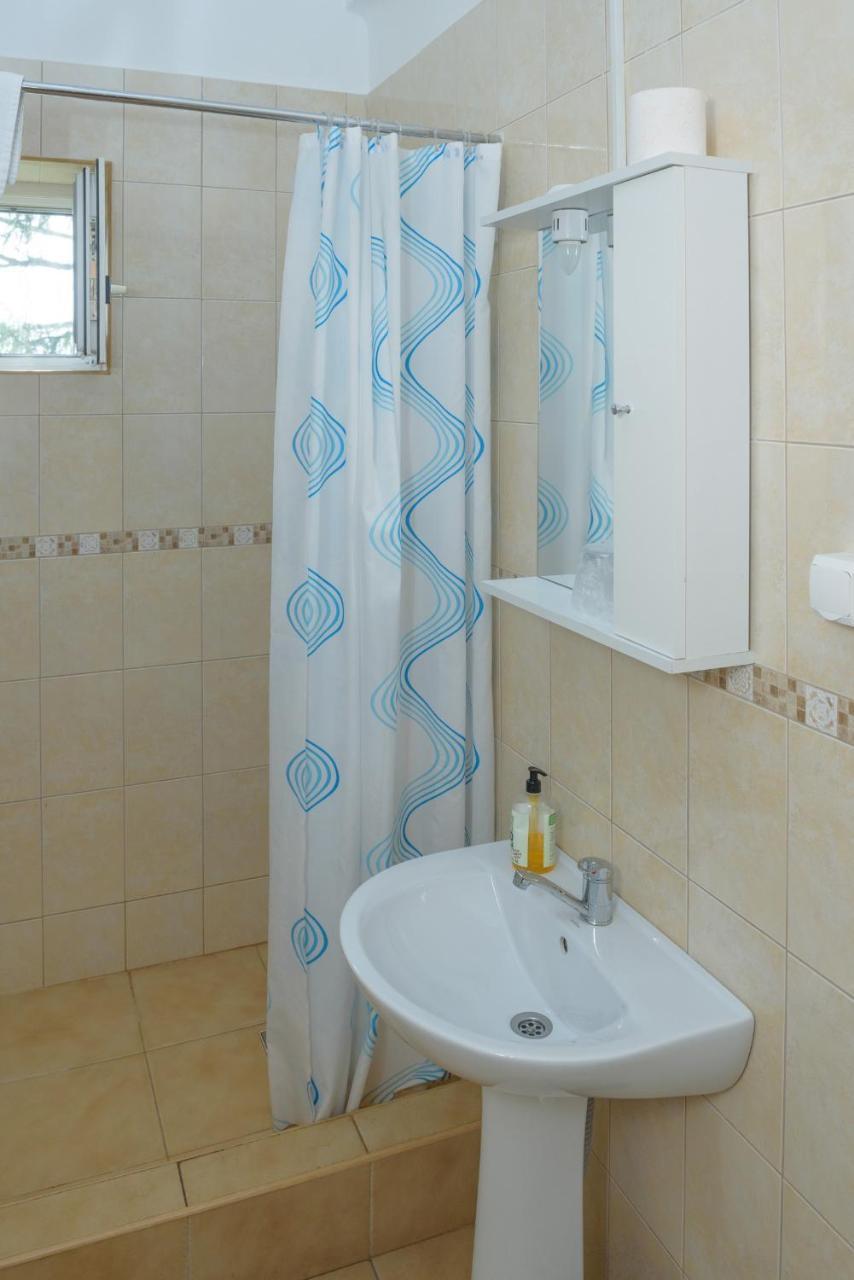 Pensiunea Tranzit Satu Mare Dış mekan fotoğraf